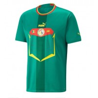 Senegal Replica Away Shirt World Cup 2022 Short Sleeve